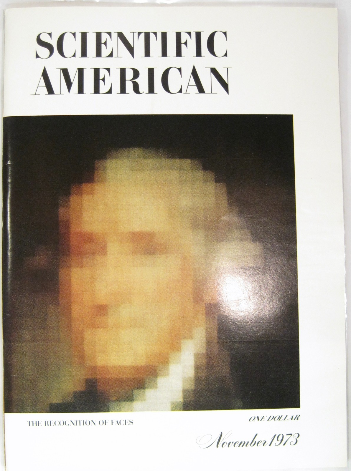 Vintage Scientific American Magazine November 1973 Volume 228 Issue 11