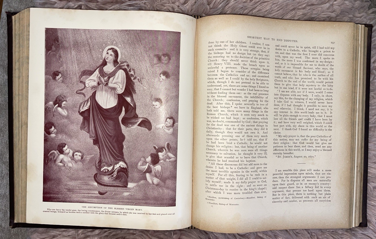 1902 The Catholic Church Alone Five Volumes In One By Rev. M. A. White✝️👀☚☚☚☚☚