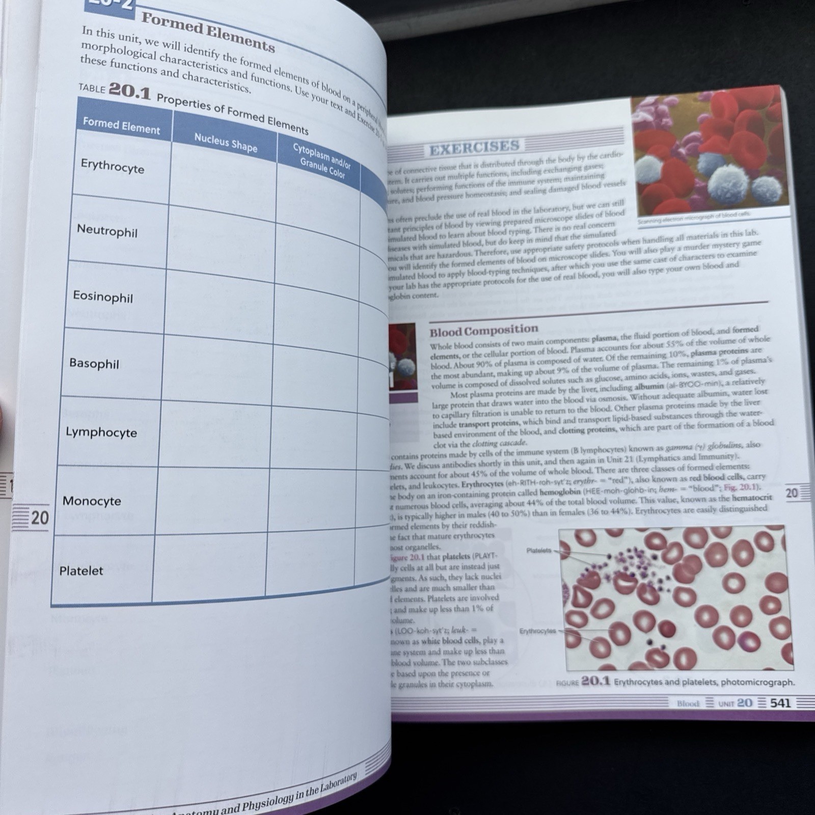 Exploring Anatomy & Physiology in the lab 4th Ed 9781640433984