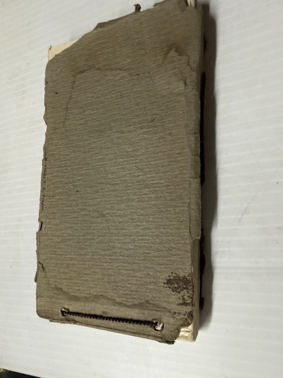 n/a / Antiquitates Judaicae Pragenses Ancient Prague Synagogues 1st Edition 1900