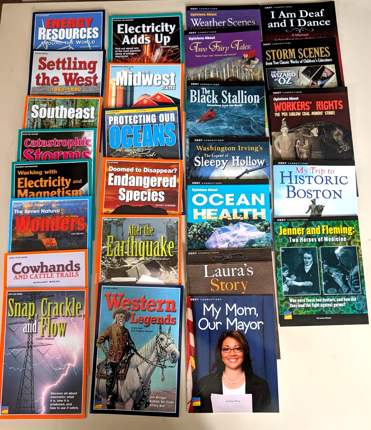 Lot of 45 Benchmark Education Various Series, Homeschool