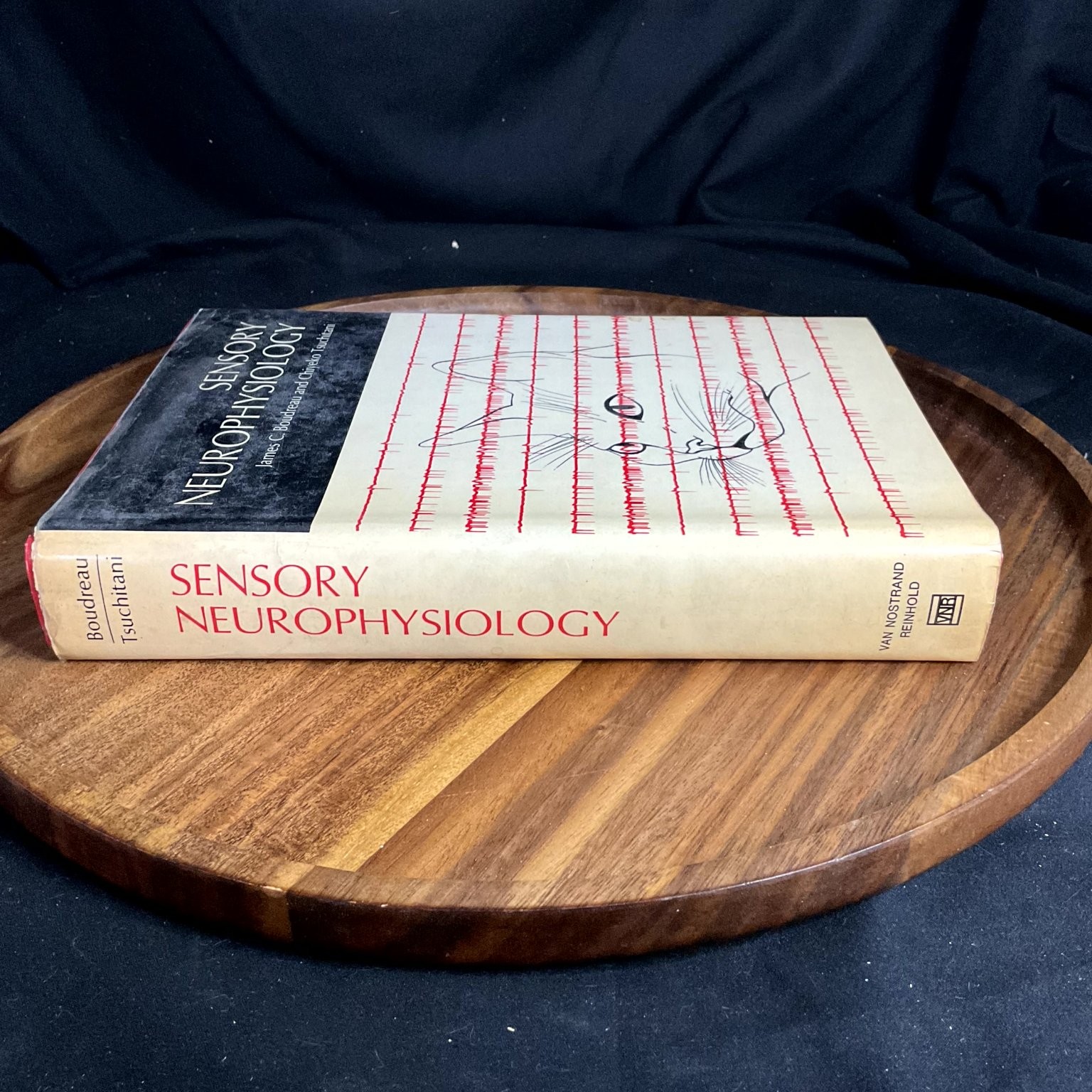 Sensory Neurophysiology Boudreau Tsuchitani 1973 Cat Neuroscience Book