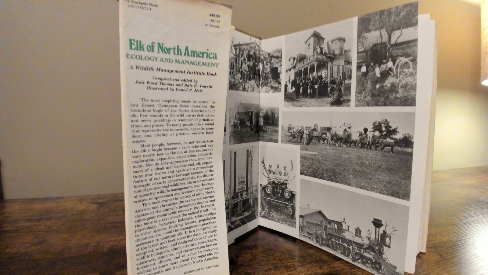 Elk of North America : Ecology and Management by Wildlife Management 1982, HC/DJ