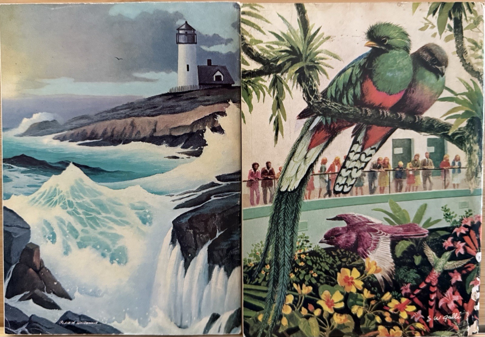 1976 August September (2) READER’S DIGEST MAGAZINE Vintage Retro Timeless Shorts