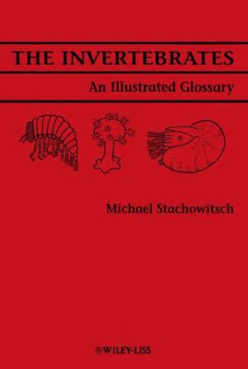 The Invertebrates : An Illustrated Glossary Paperback Michael Sta