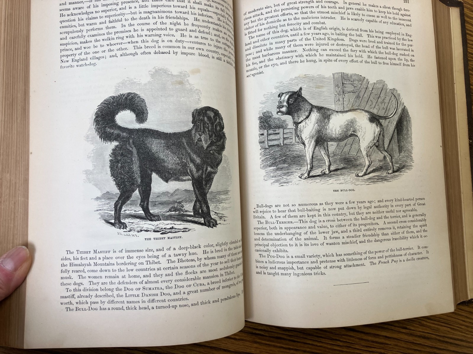 Johnson’s Natural History, Animal Kingdom, Vol. 1&2, by S. G. Goodrich, 1874