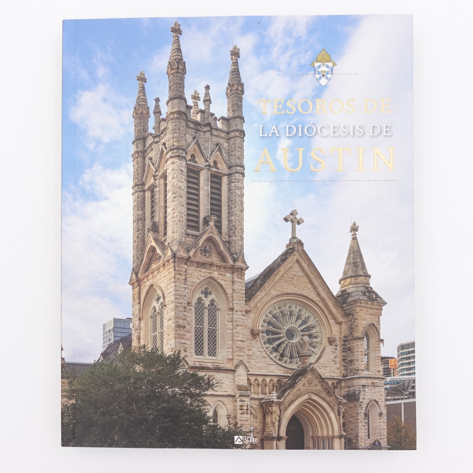 Tesoros De La Diocesis De Austin PB 2022 392 Pages Spanish Edition 9782746843905