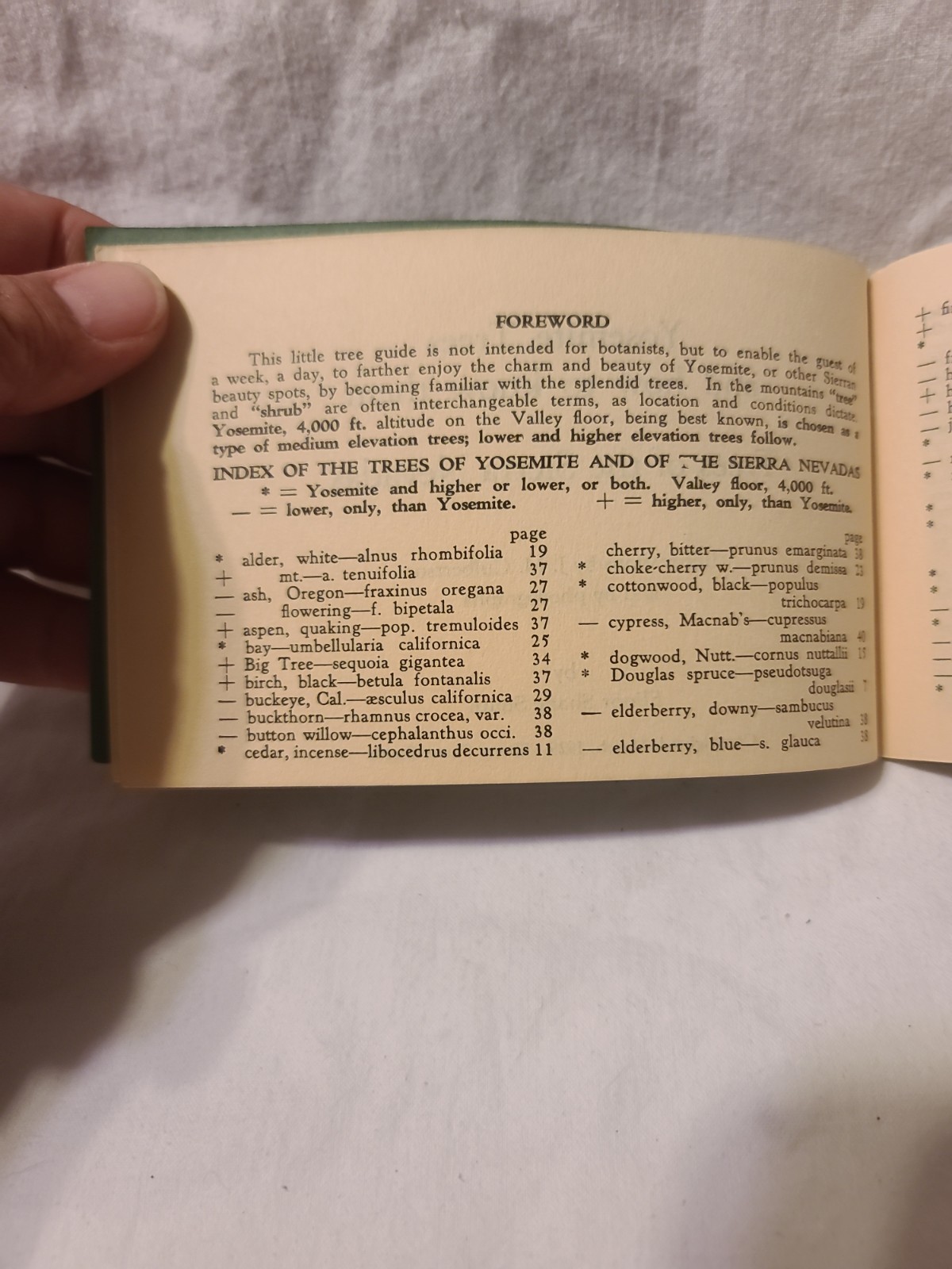 Yosemite Trees And How To Know Them By Elinor Shane Smith (PB 1929)