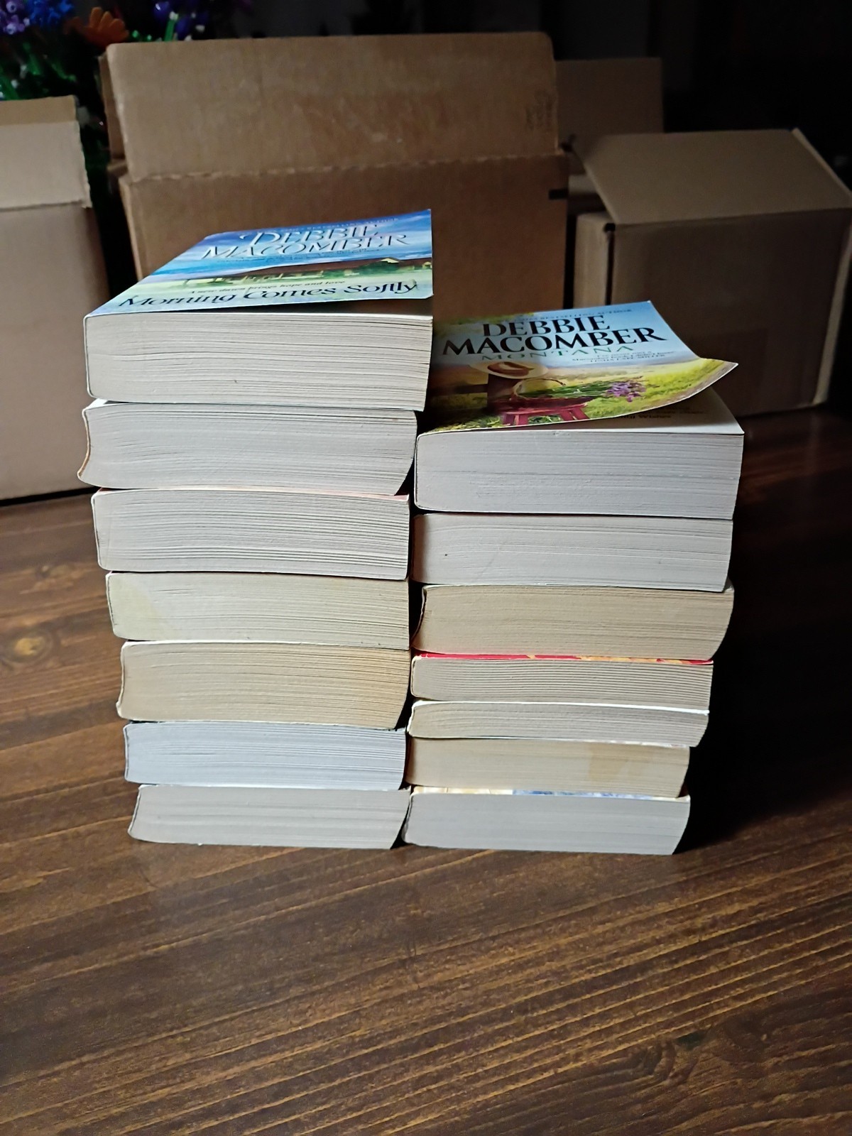 Lot Of 14 Debbie Macomber Books
