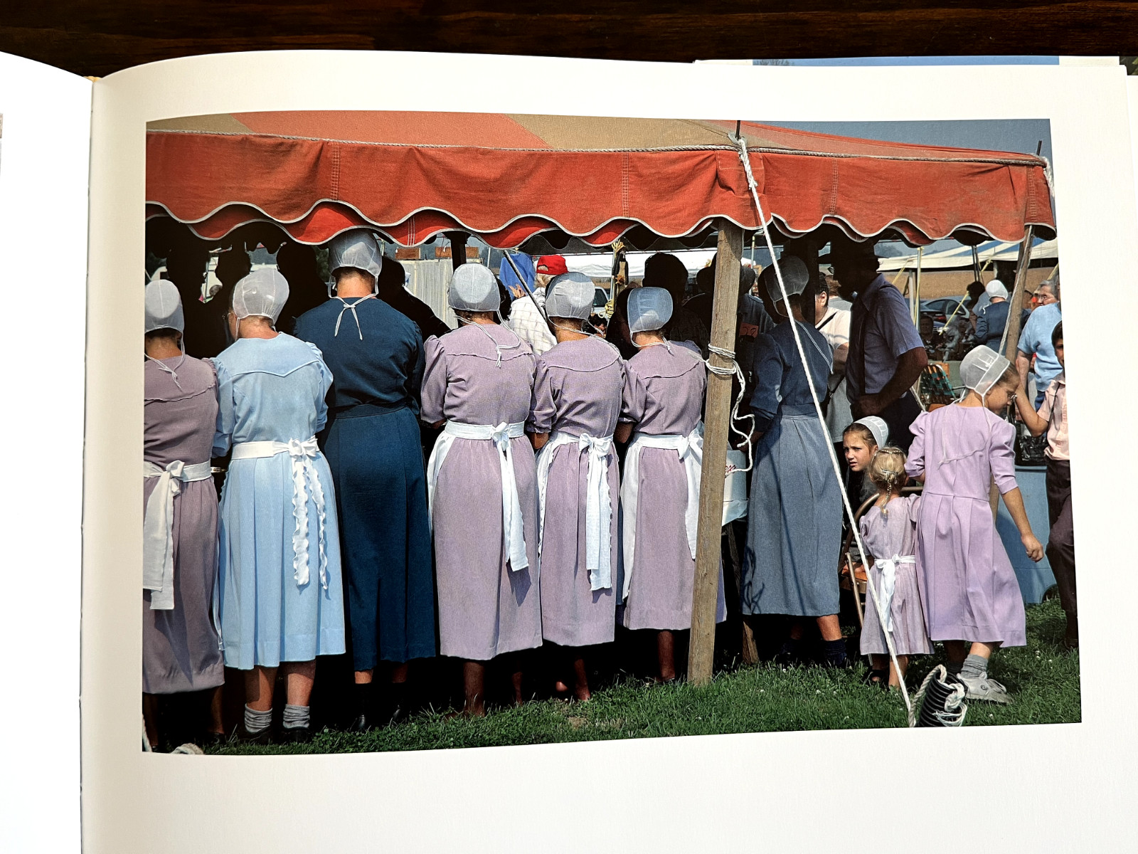 Amish Life : Living Plainly and Serving God Hardcover — Darryl D. Jones