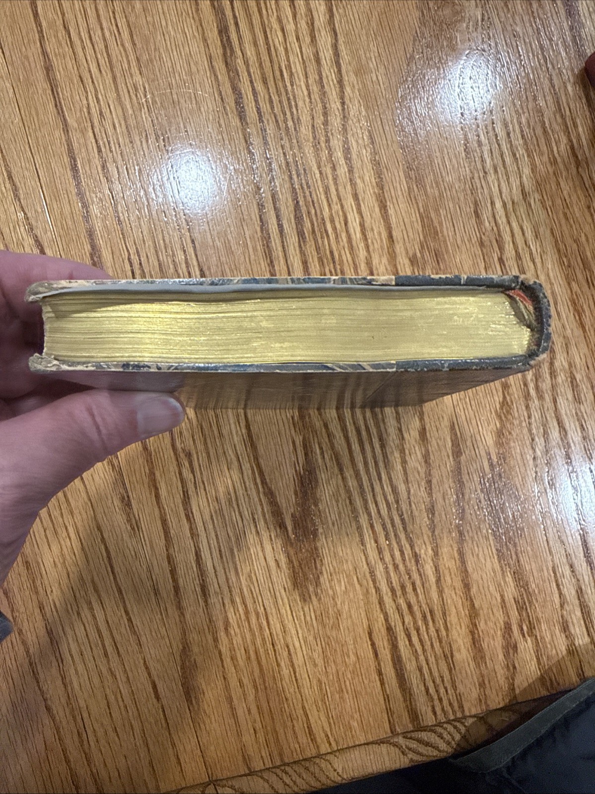 Countess Van Arnim “Fraulein Schmidt & Mr Anstruther”, 1907 Tauchnitz Edition