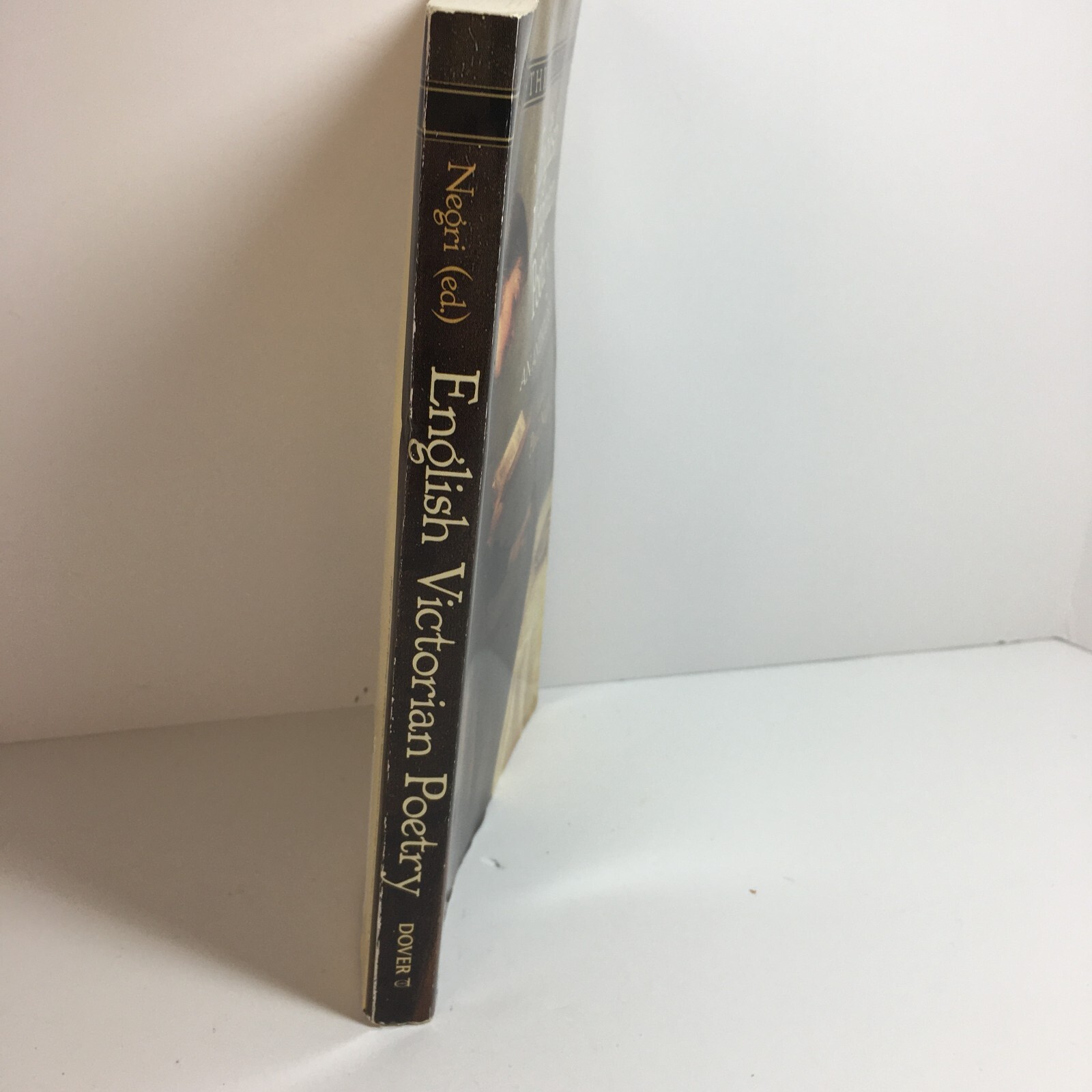 English Victorian Poetry by Paul Negri