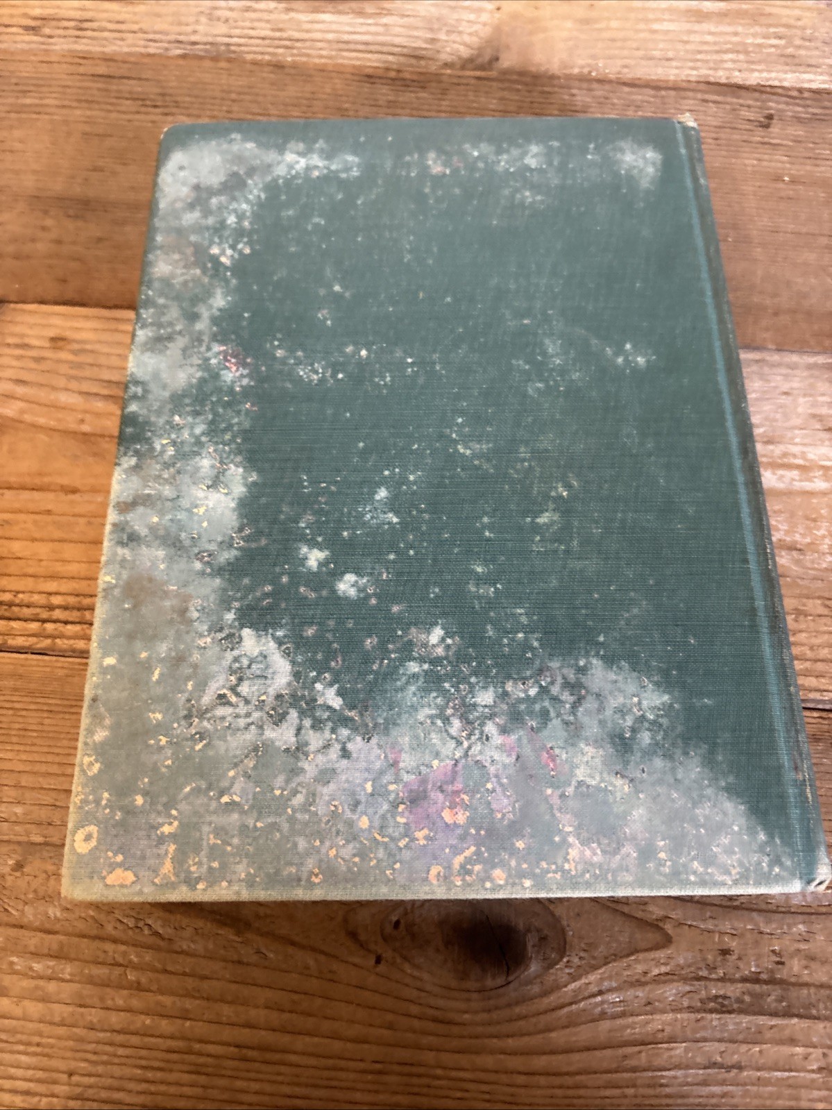 1931 Vintage PIRATES IN OZ HC Ruth Plumly Thompson 1931 11 Of 12 Color Plates