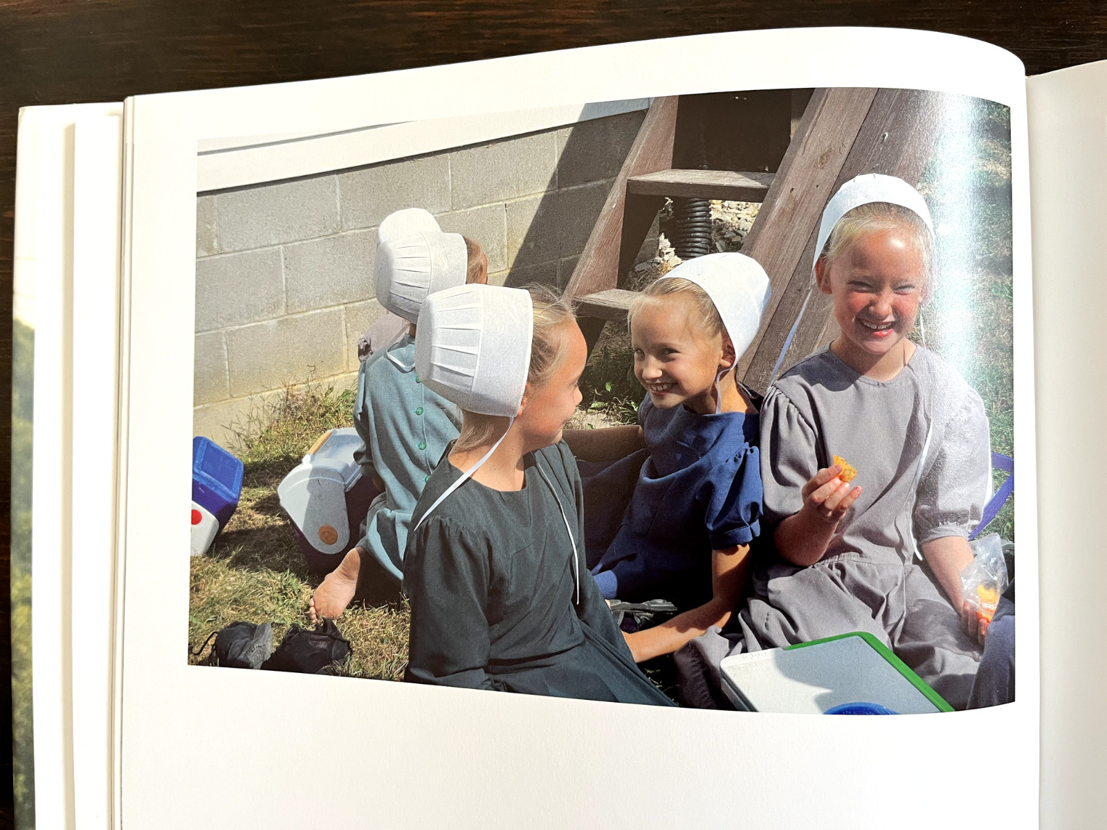 Amish Life : Living Plainly and Serving God Hardcover — Darryl D. Jones