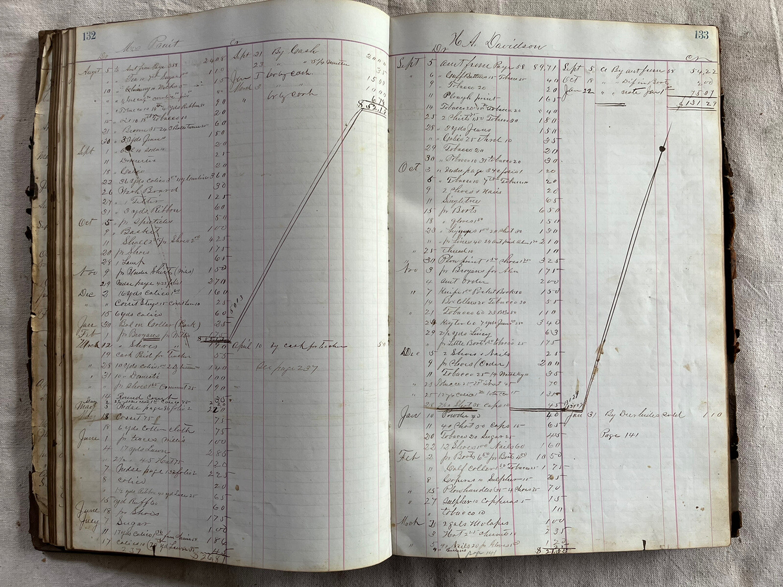 1876 Arnold Bros. Dry Goods 480 Full Pages Ledger Wartrace TN History Geneology