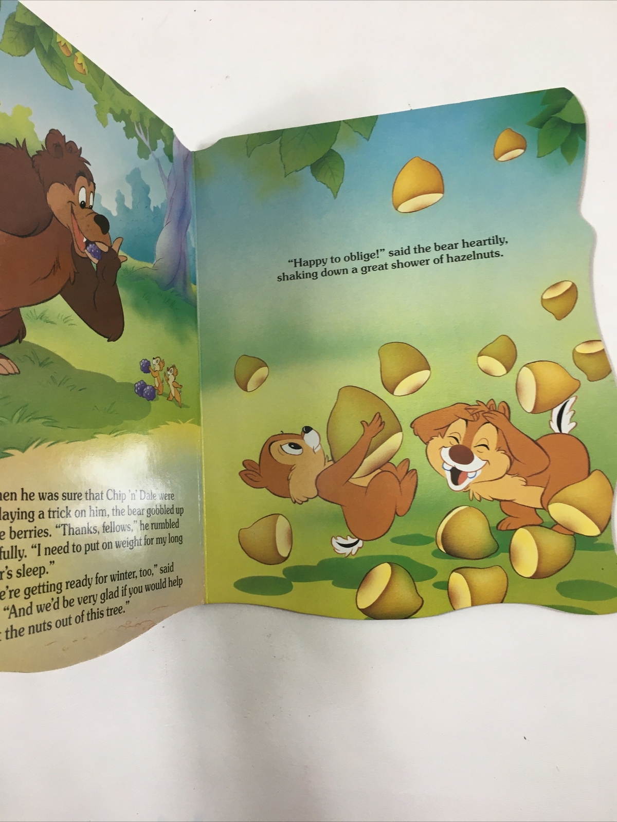 Chip ‘n’ Dale and the Bear – Disney (1989, Hardcover)