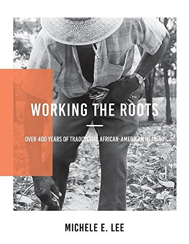 WORKING THE ROOTS: OVER 400 YEARS OF TRADITIONAL AFRICAN By Michele Elizabeth