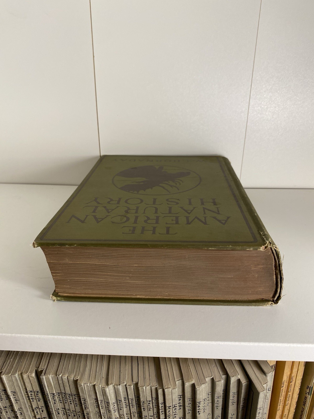 Antique Illustrated The American Natural History WT Hornaday 1912 Hardcover