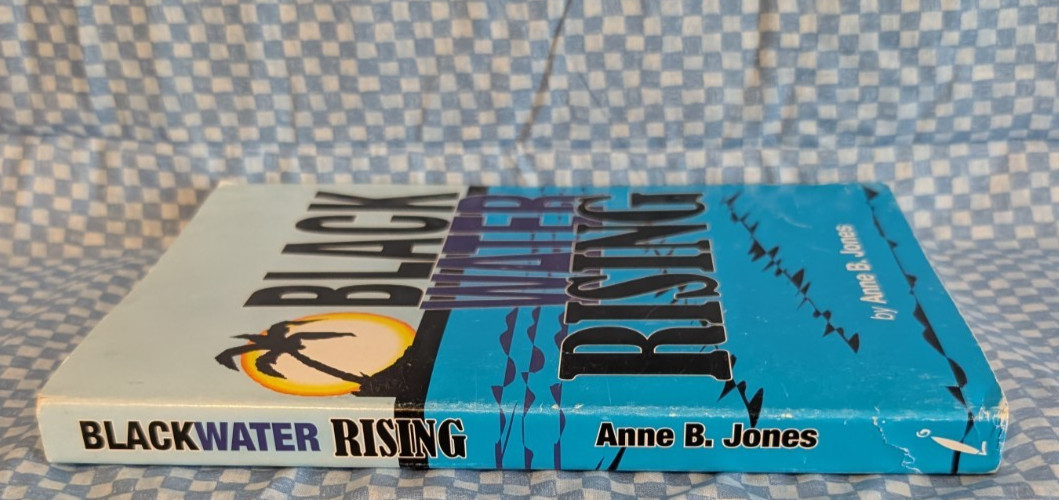 SIGNED by author! Blackwater Rising Anne B Jones paperback 2008 GEORGIA novel