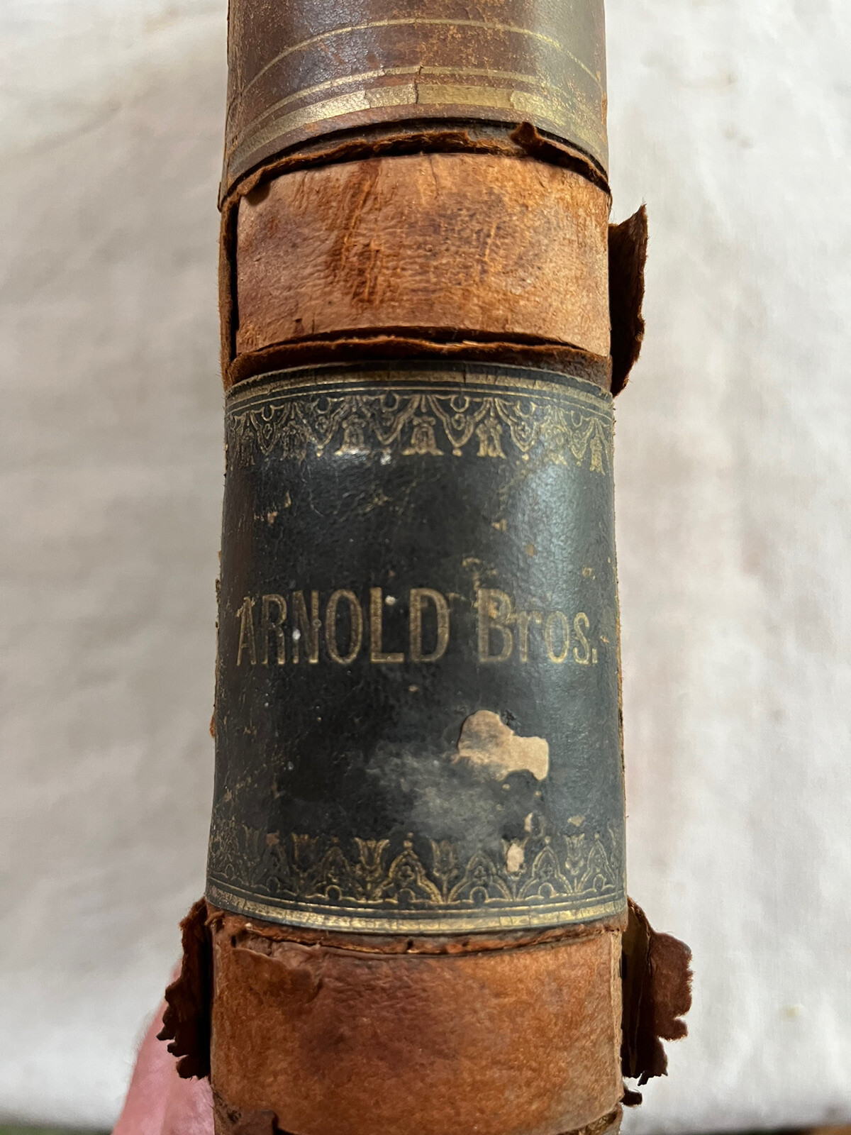 1876 Arnold Bros. Dry Goods 480 Full Pages Ledger Wartrace TN History Geneology