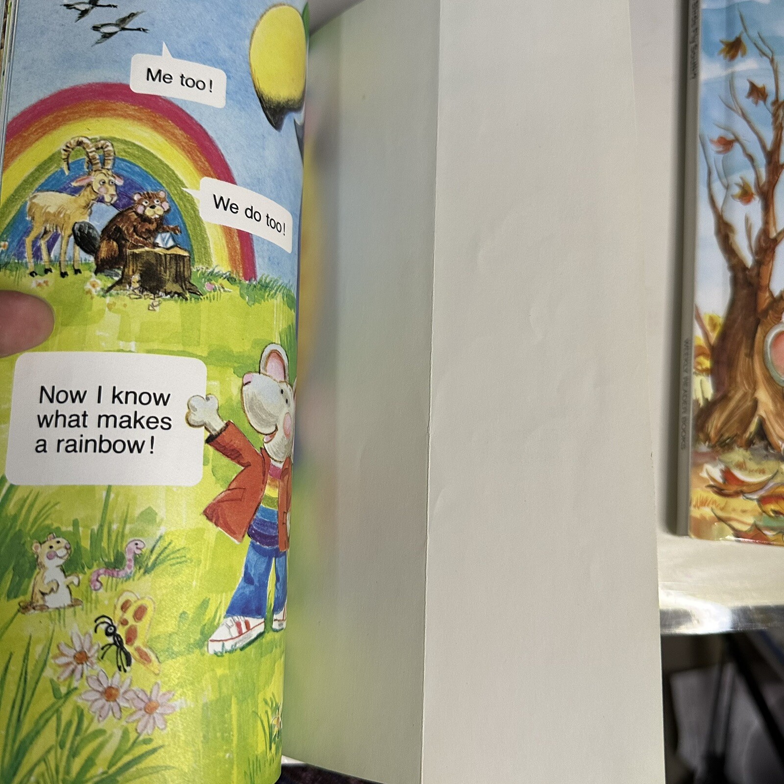 What is an Ocean, Season, Rainbow, Birds Fly? (A Just ask book) by Chris Arvetis