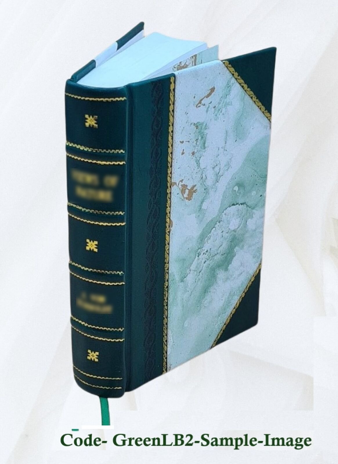 The Consistency Of The Whole Scheme Of Revelation With Itself An [Leather Bound]