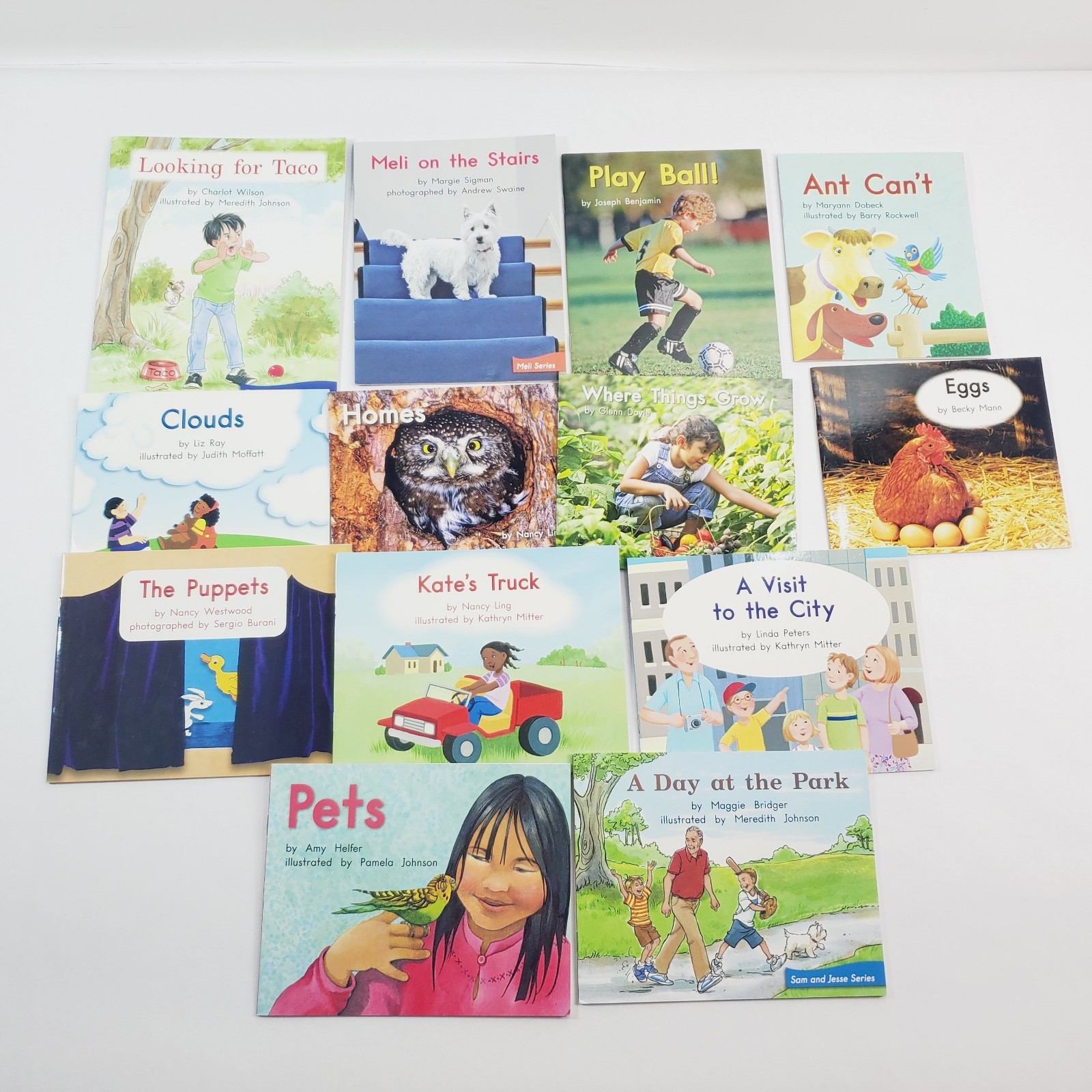 Lot of 13 Fountas & Pinnell LLI Green System Level C Leveled Readers Grade 1