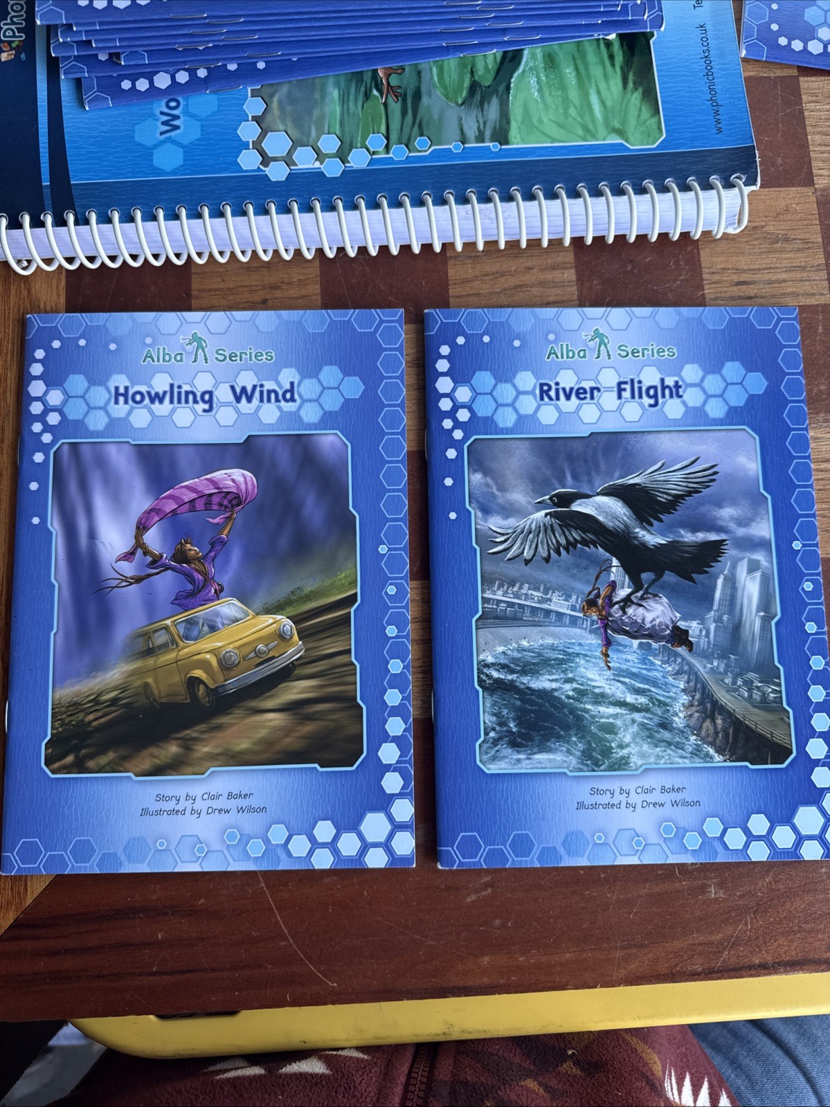 Phonic BOOK LOT: Alba Series Workbook With Books 1-12 Used Missing 1 Book