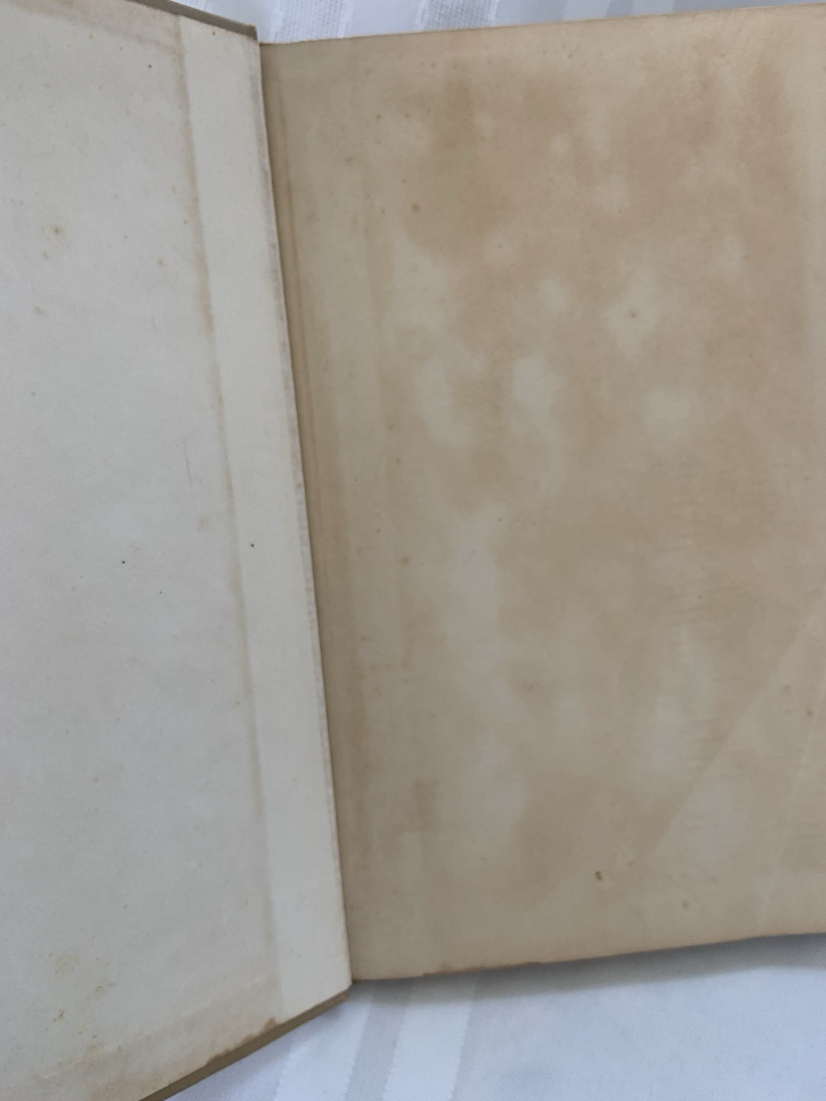 The Velveteen Rabbit, Margery Williams, HC, 1920s Early Rare CL Edition