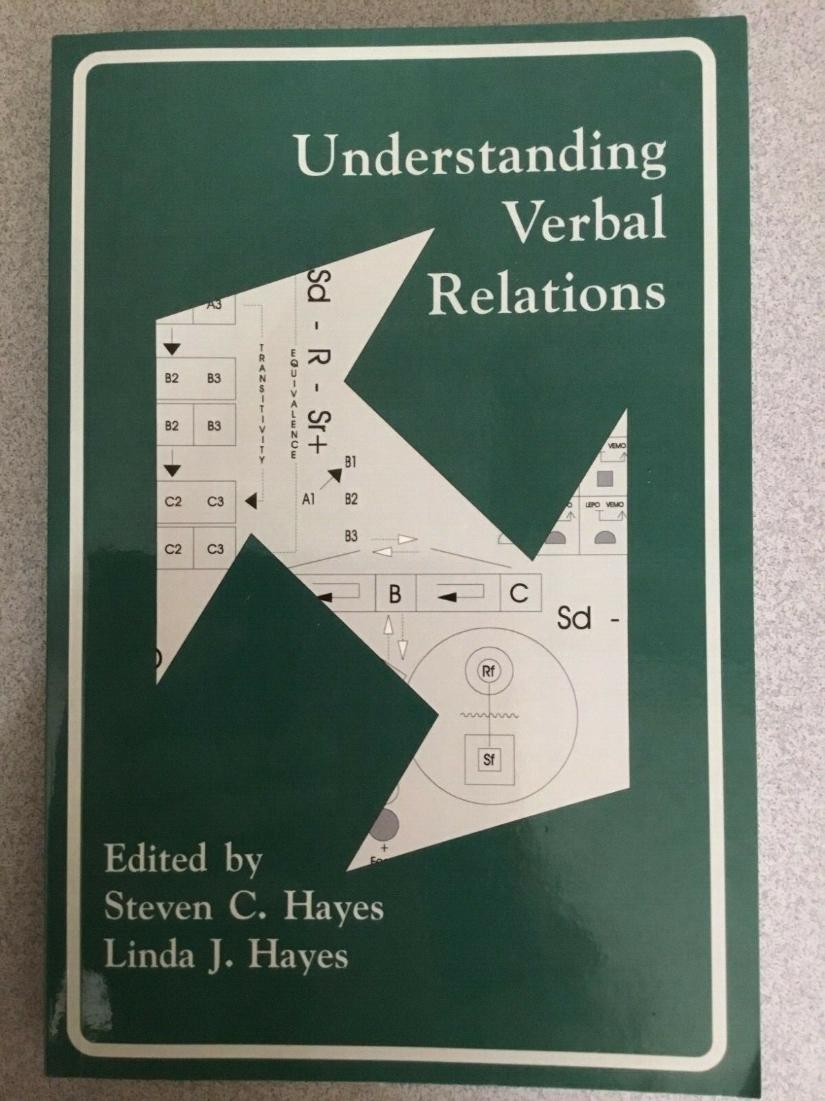 Understanding Verbal Relations (International Institute on Verbal Relations Seri