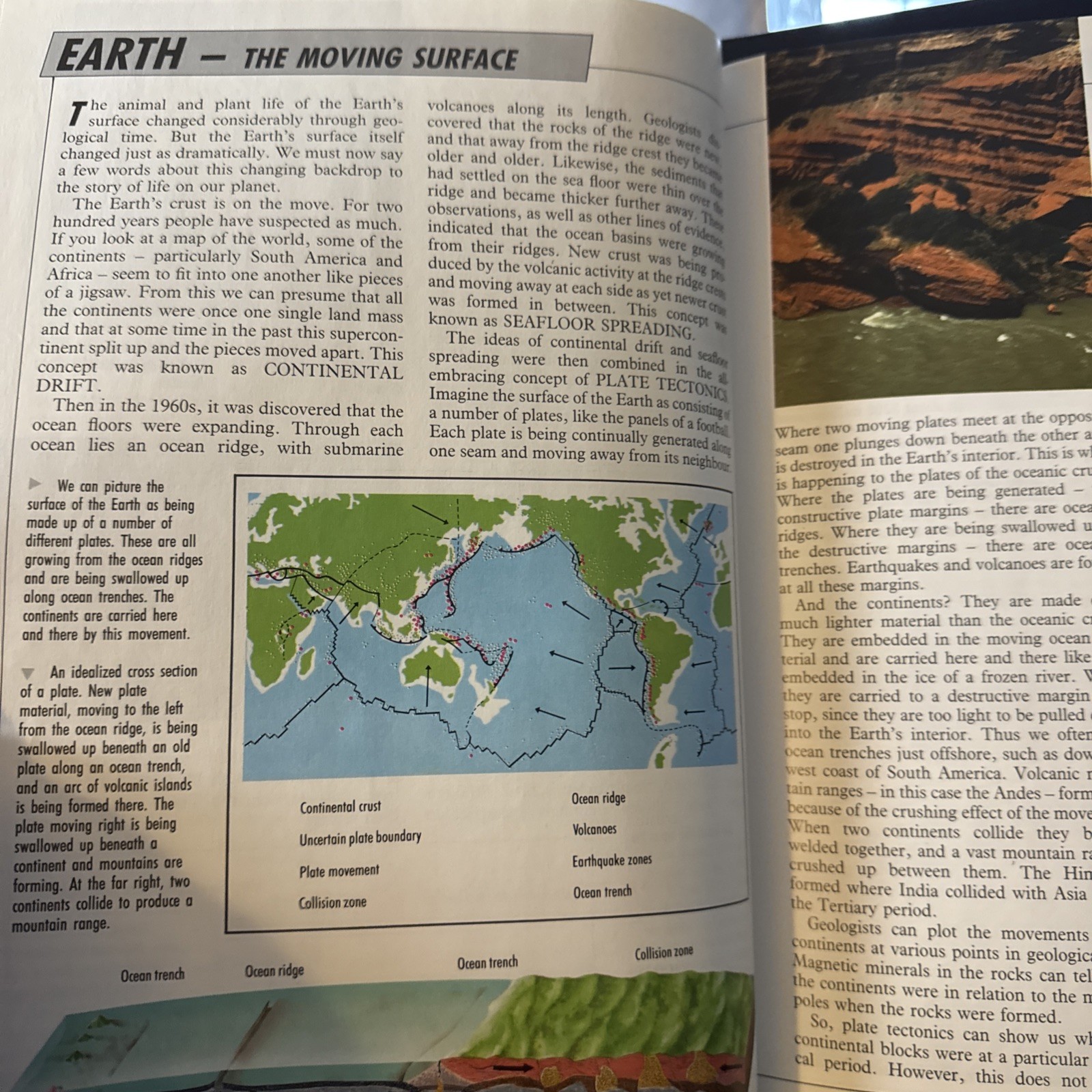 Illustrated Dinosaur Encyclopedia by Dougal Dixon (1988, Hardcover)