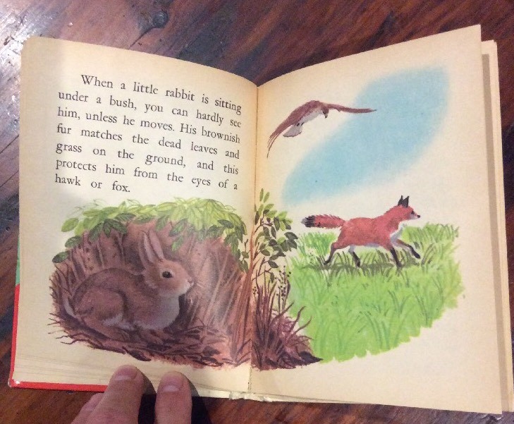 1971~ RAND MCNALLY~ START RIGHT ELF BOOK~ ORIG. .25 ANIMAL MYSTERIES #8172