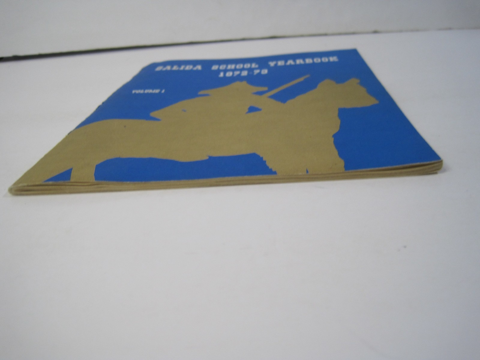 Salida School Yearbook 1972-73 Volume 1 – Staple Bound Paperback – California
