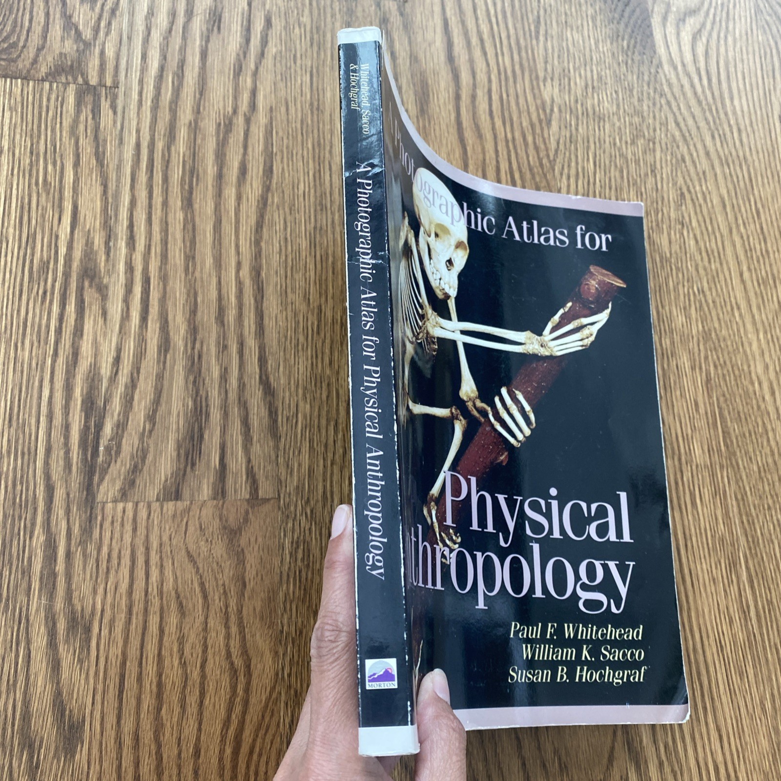 A Photographic Atlas for Physical Anthropology Whitehead 2005 Anatomy Evolution