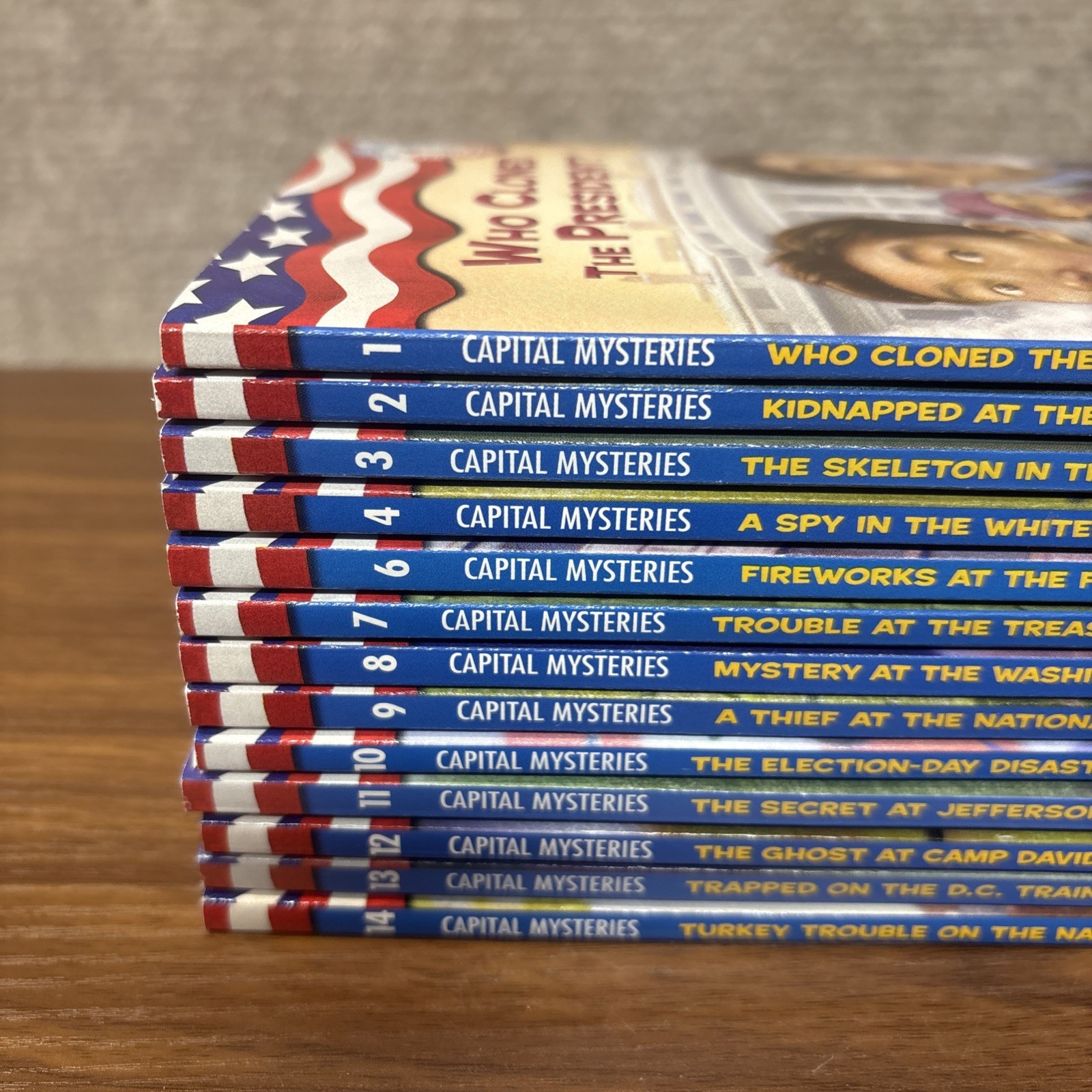 CAPITAL MYSTERIES Ron Roy Chapter Books Incomplete Series Lot 1-4 And 6-14