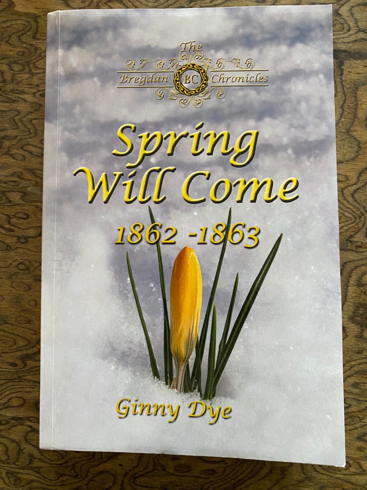Spring Will Come 1862-1863 by Ginny Dye 2010 Paperback FIRST EDITION Excellent