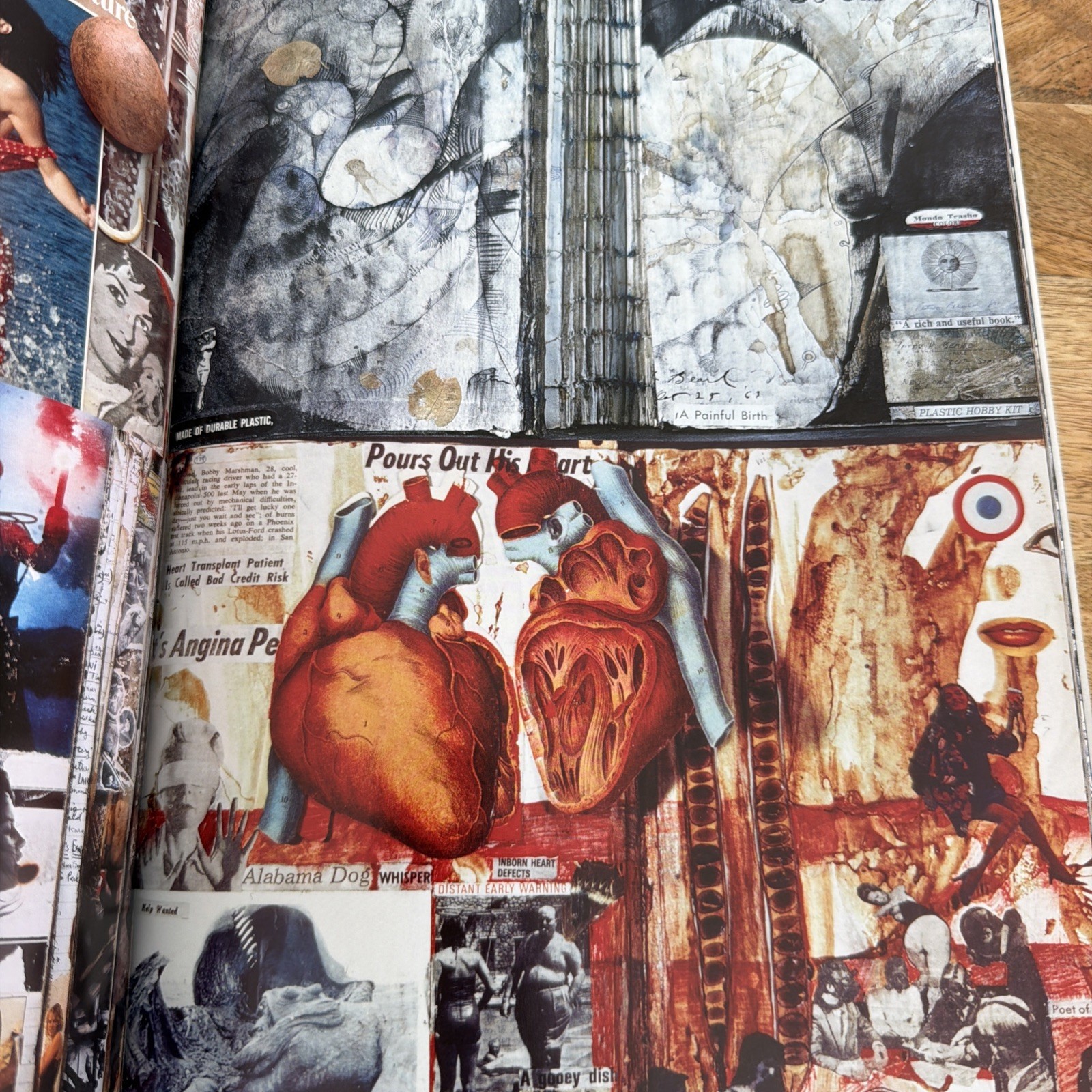 Peter Beard 2013 Taschen Coffee Table Photography Art Book Hardcover