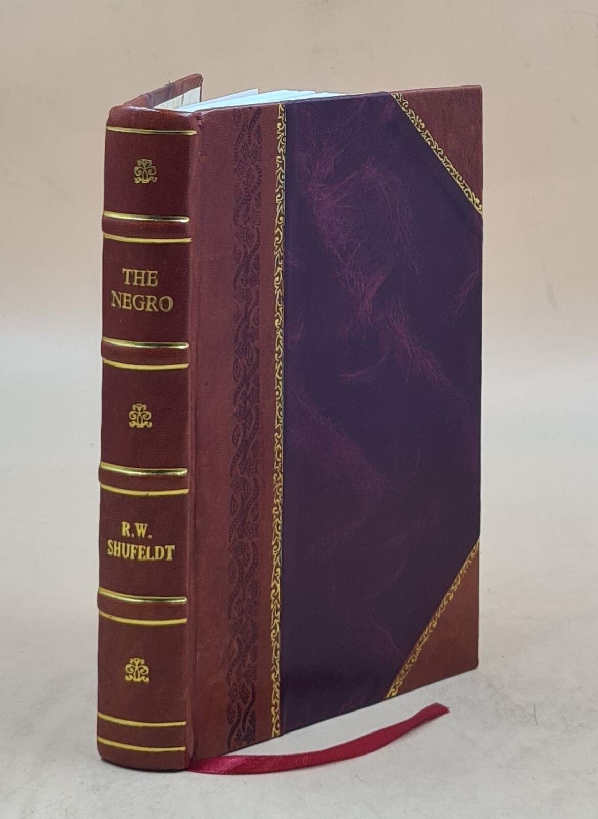 The Negro a menace to American civilization 1907 R. W. Shufeldt [LEATHER BOUND]