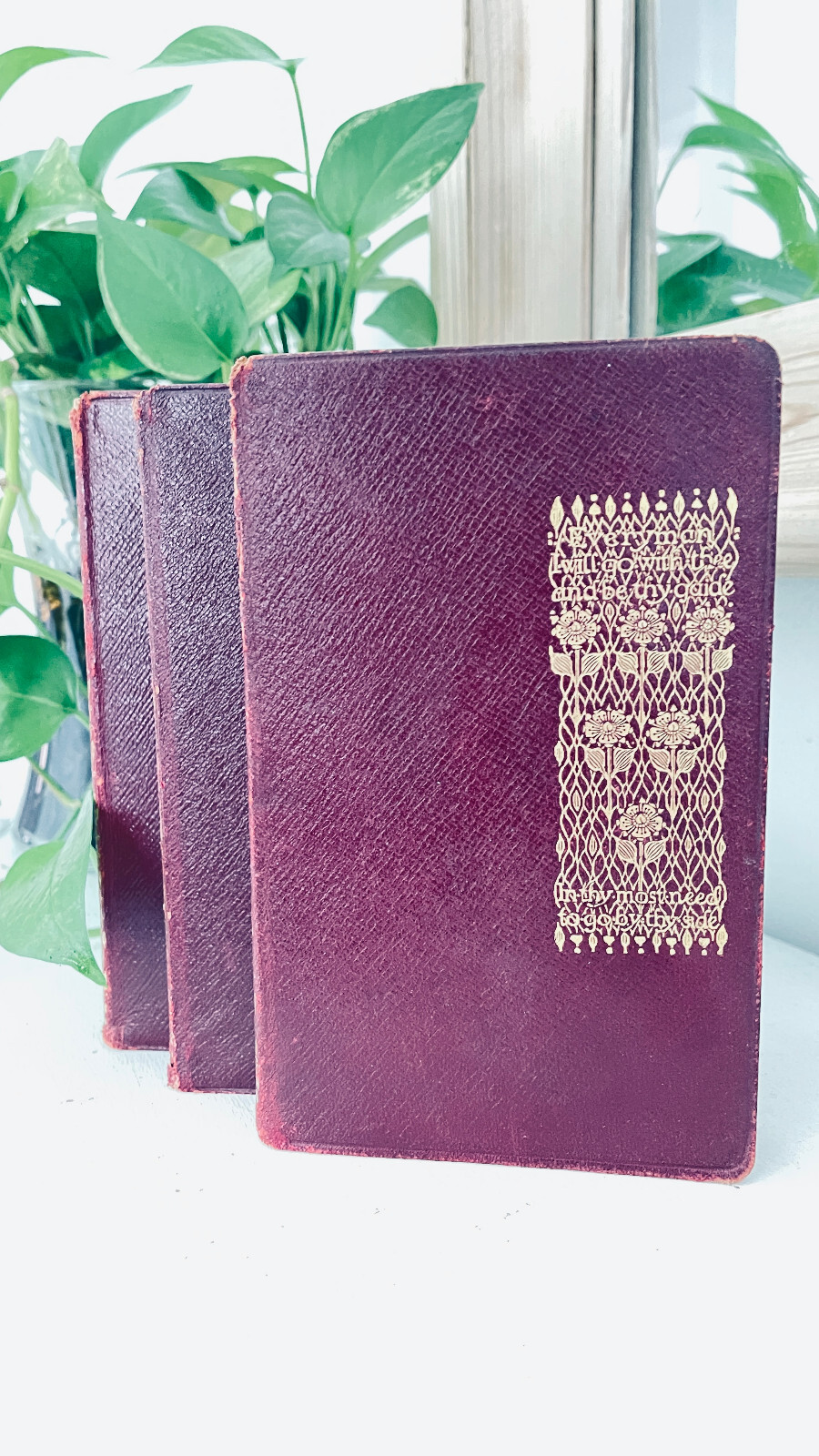 Decorative Red Leather Covered Antique Book Gilded Cover 1910 Set of 3