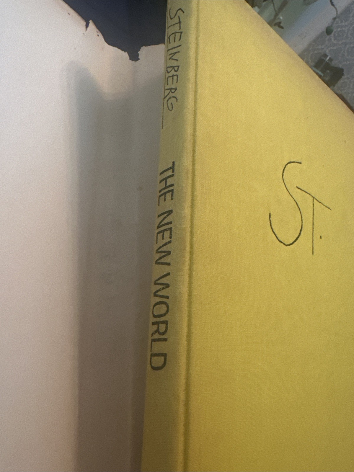 THE NEW WORLD,1965,Saul Steinberg,1st Edition,DJ