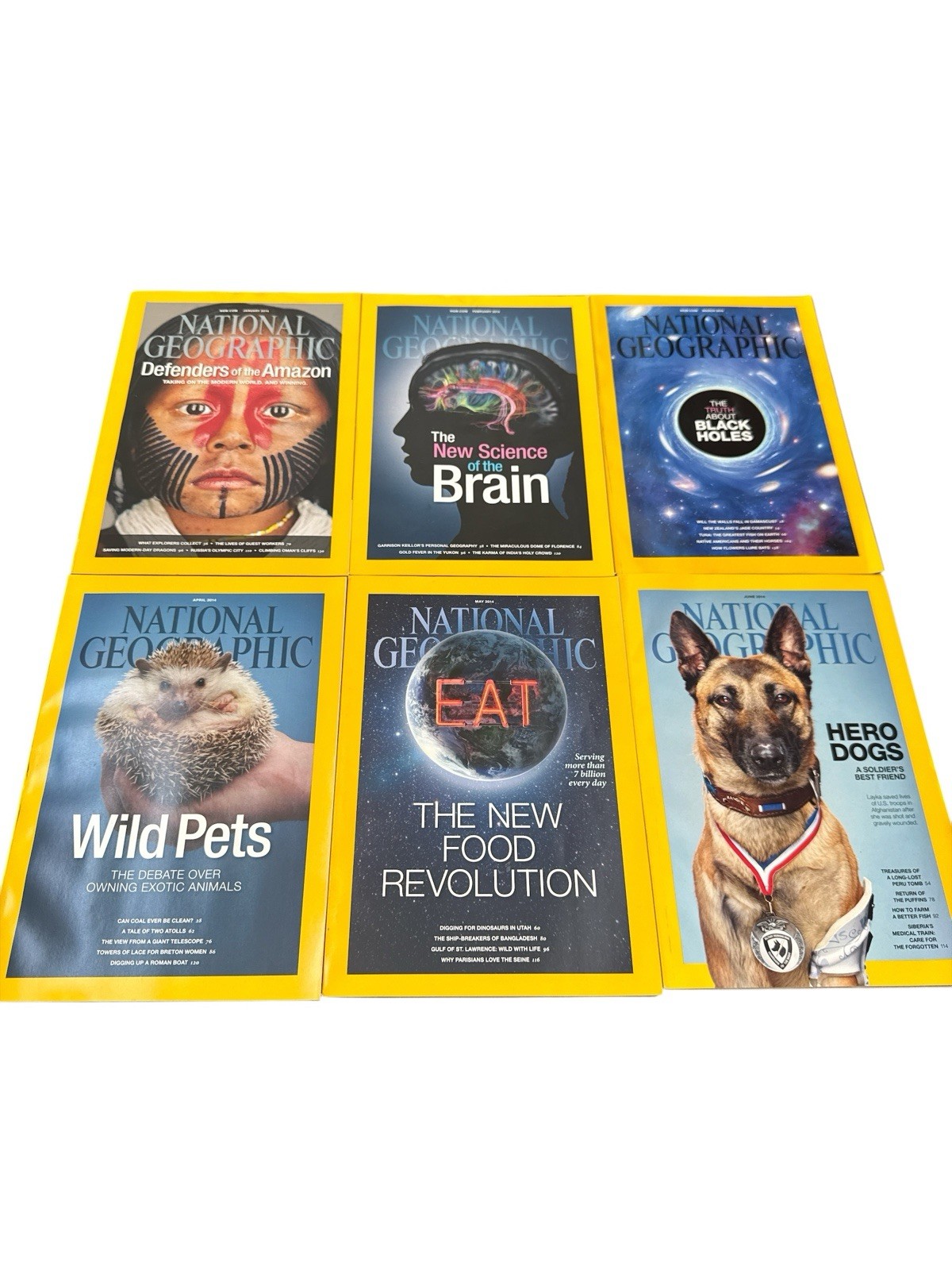 National Geographic Magazine JAN-JUNE 2014 with Faux Leather Case