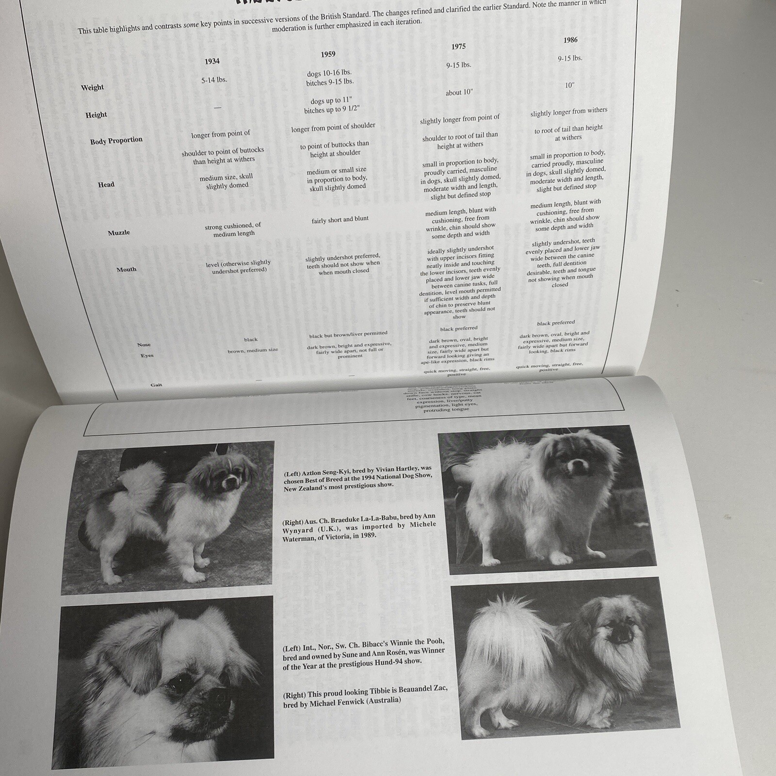 The Tibetan Spaniel: A Gift From The Roof Of The World Susan Miccio 254 pages