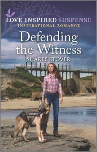 Defending the Witness (Love Inspired Suspense) – Mass Market Paperback – GOOD