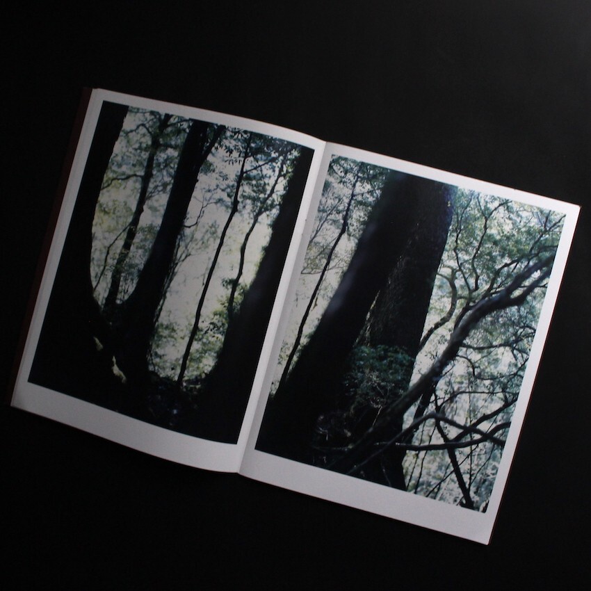 Materia Yoshihiko Ueda 2012 Japanese Photography Book Yakushima Landscape Forest