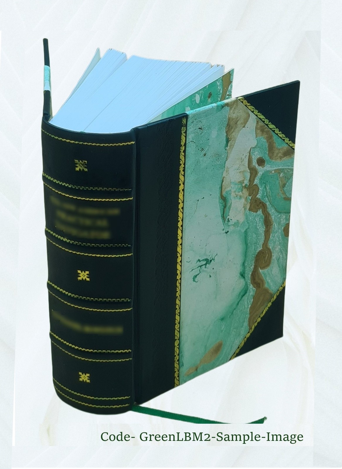 Principii di psicologia 1901 by William James, G C Ferrari(Tr) [Leather Bound]
