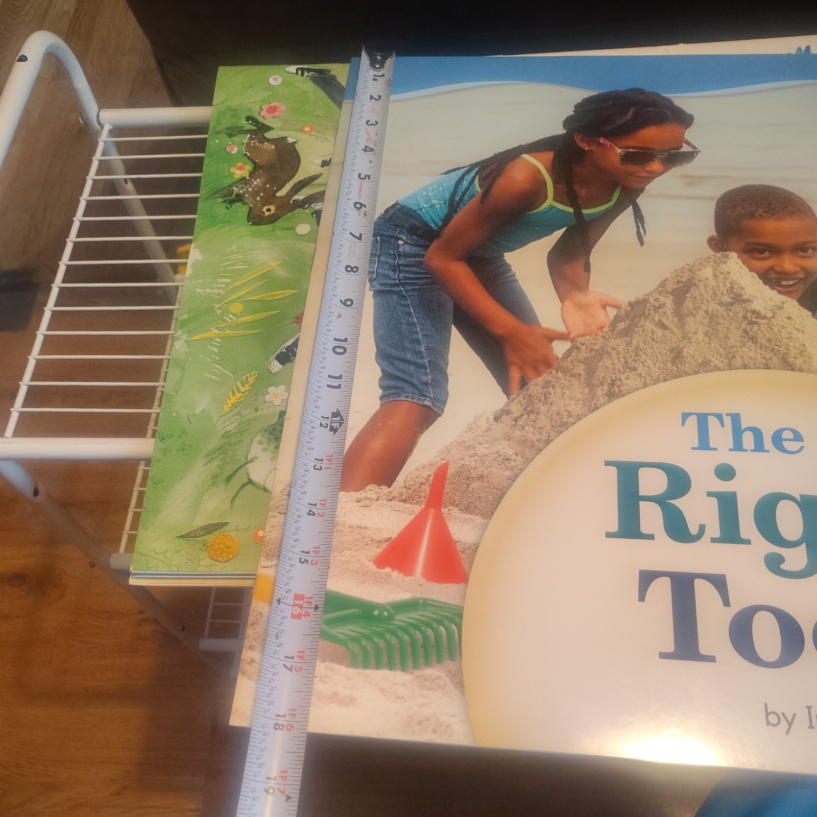 Shared Reading Big Book & Student Readers