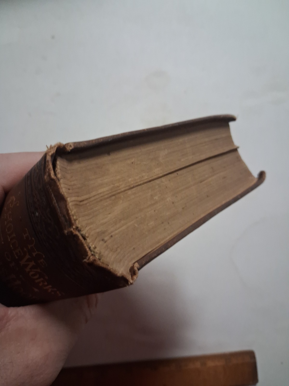 1880 COMIC THE CHOICE WORKS OF THOMAS HOOD 200 Illustrations ORNATE BINDING