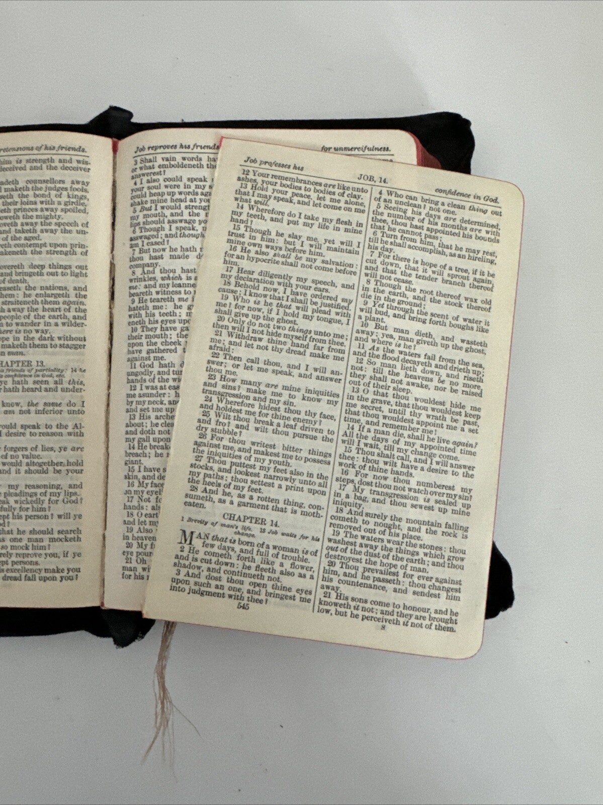 The Holy Bible Illustrated Scholars Edition Leatherette Cover Gild Edging 1920s