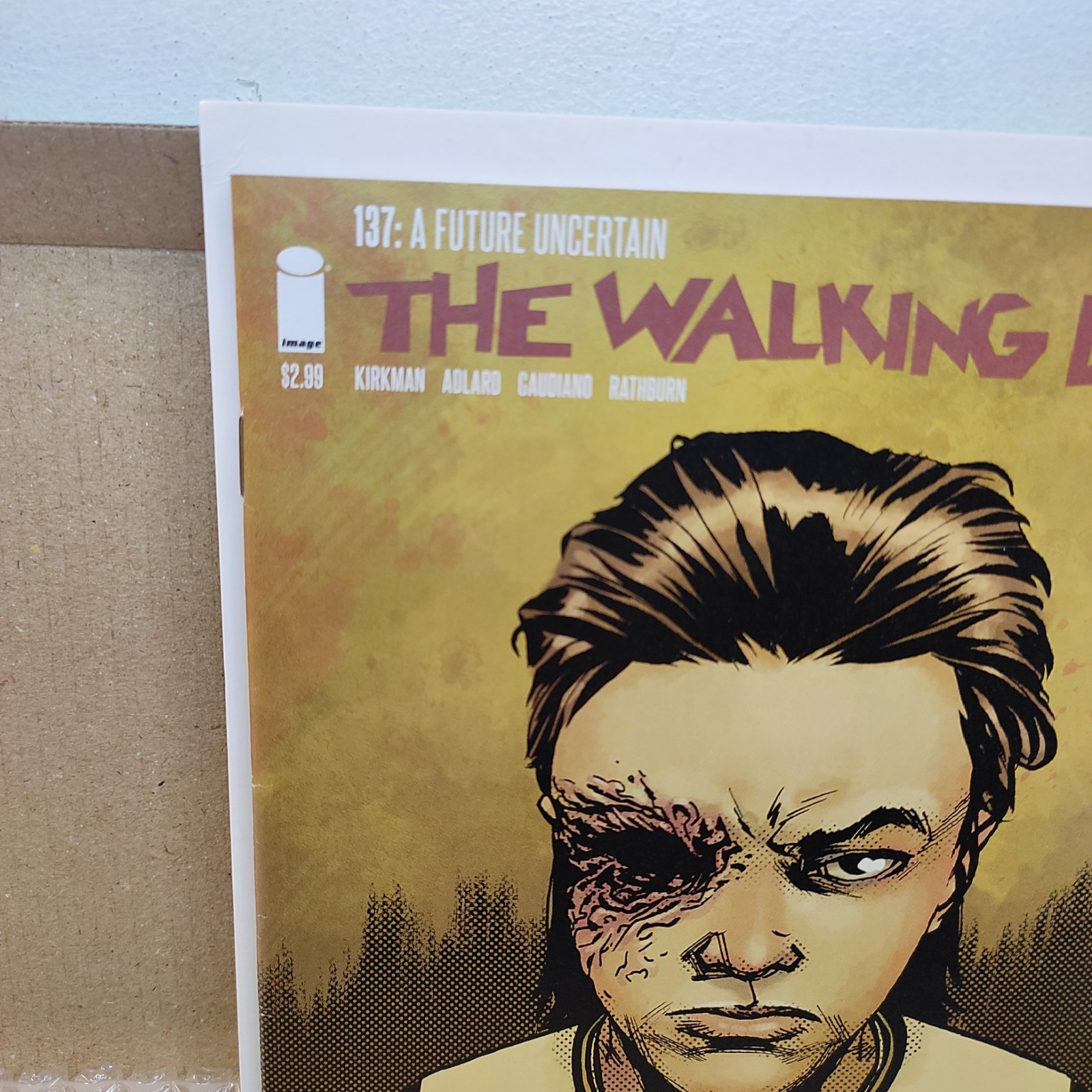 The Walking Dead #137 A Future Uncertain – Image Comics – Book Adlard Kirkman