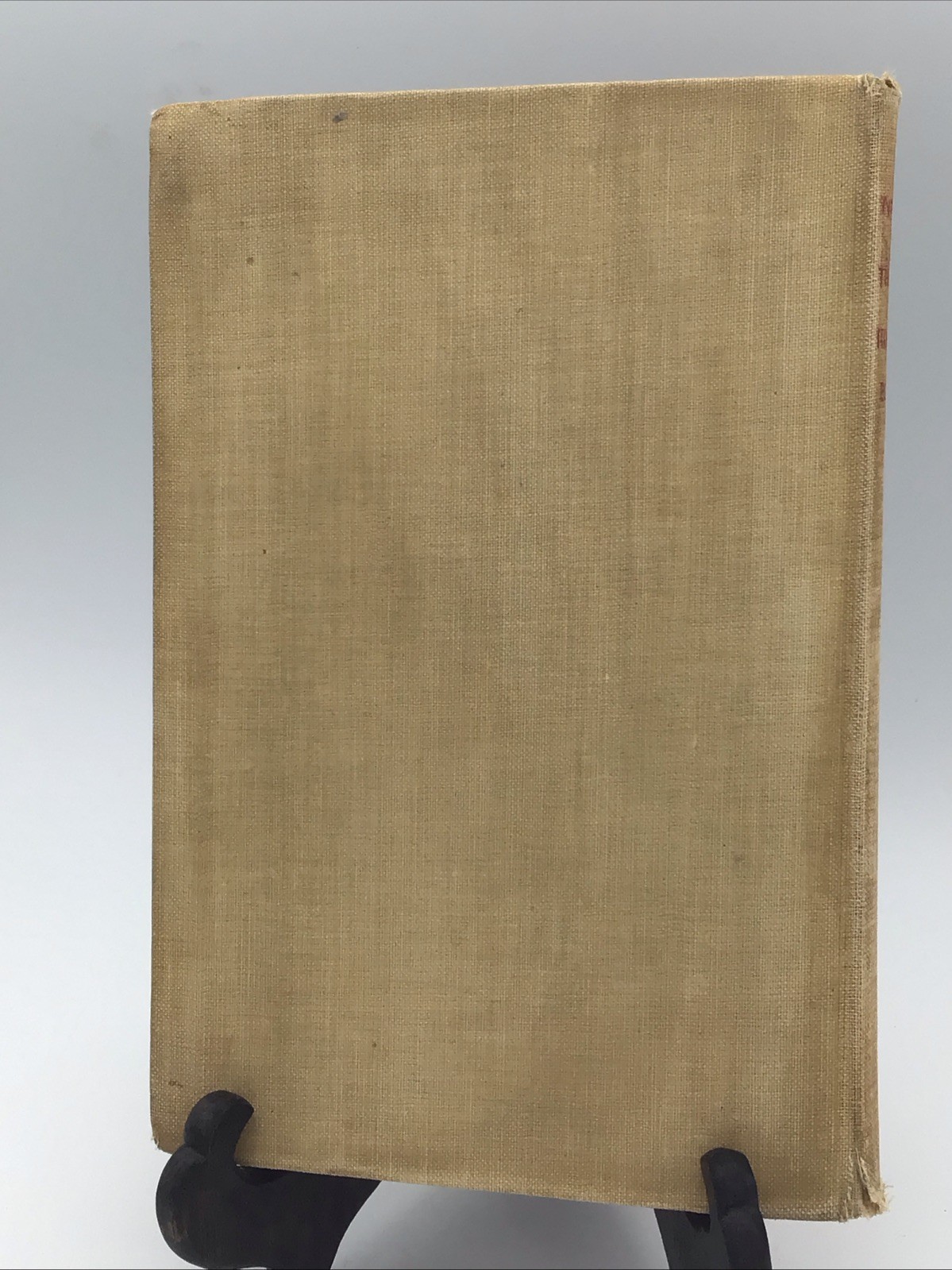 1894 Zodiac Influence Upon Human Life Eleanor Kirk 1st Edition Occult Astrology